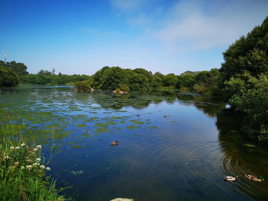 Parque da Cidade da Póvoa de Varzim - Foto 1