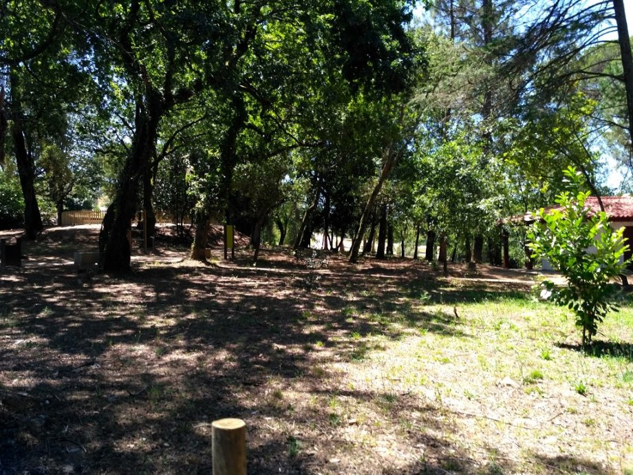 Parque da Vila - Parque Urbano de Ponte de Lima - Foto 10