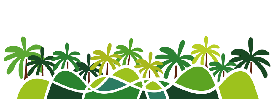 Elche Palmeral Aventuras - Foto 2