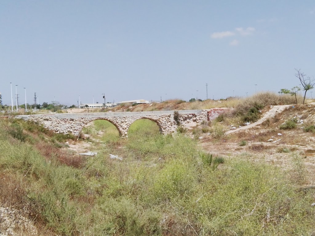 Elche Palmeral Aventuras 14