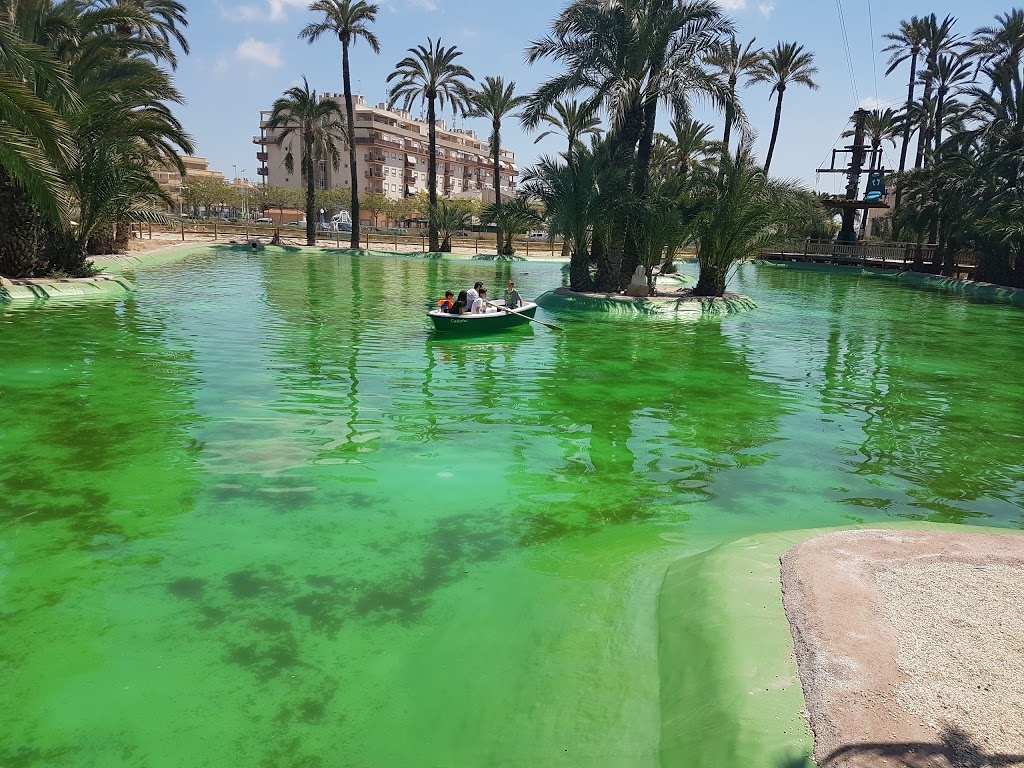 Elche Palmeral Aventuras 16