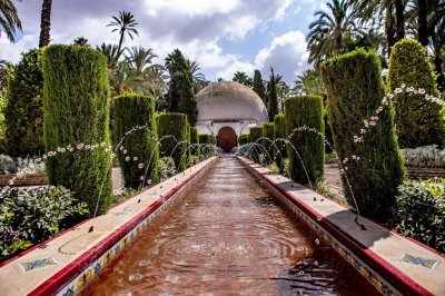 Elche Palmeral Aventuras