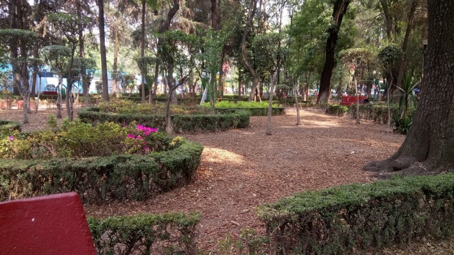 Parque Alfonso Esparza Oteo - Foto 6