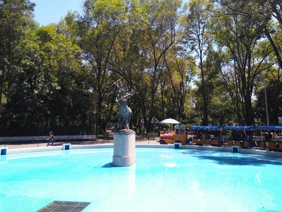 Parque de los Venados - Foto 4