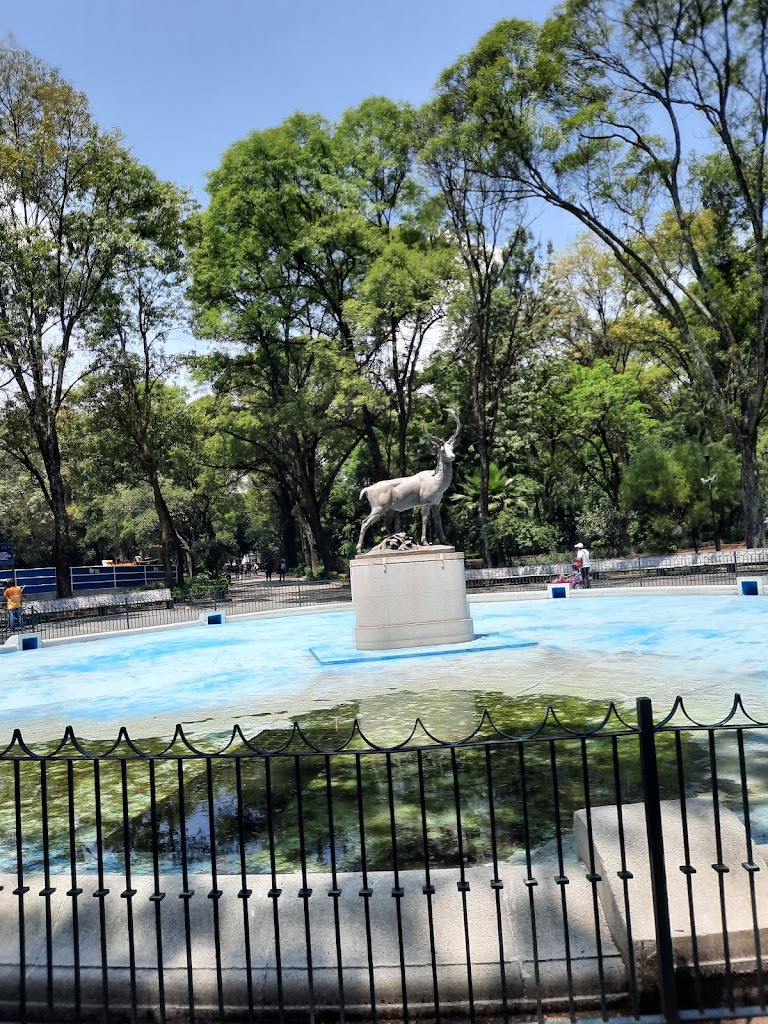 Parque de los Venados - Foto 1