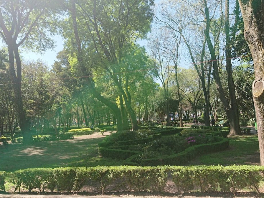 Parque de los Venados - Foto 10