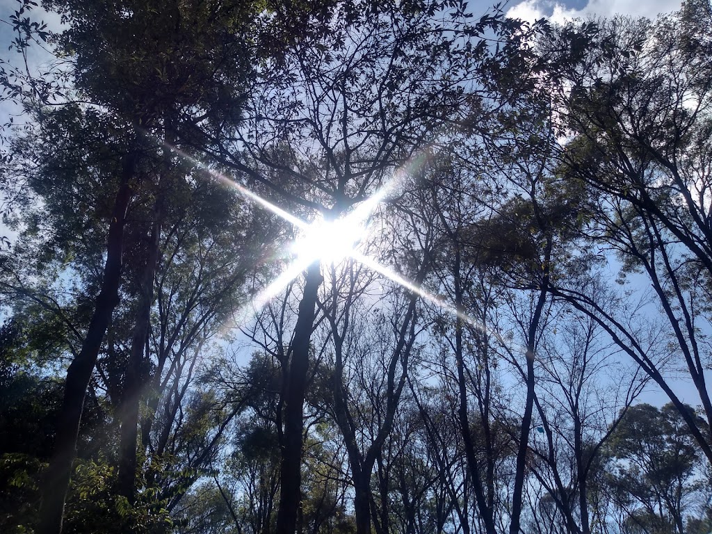 Parque de los Venados 7