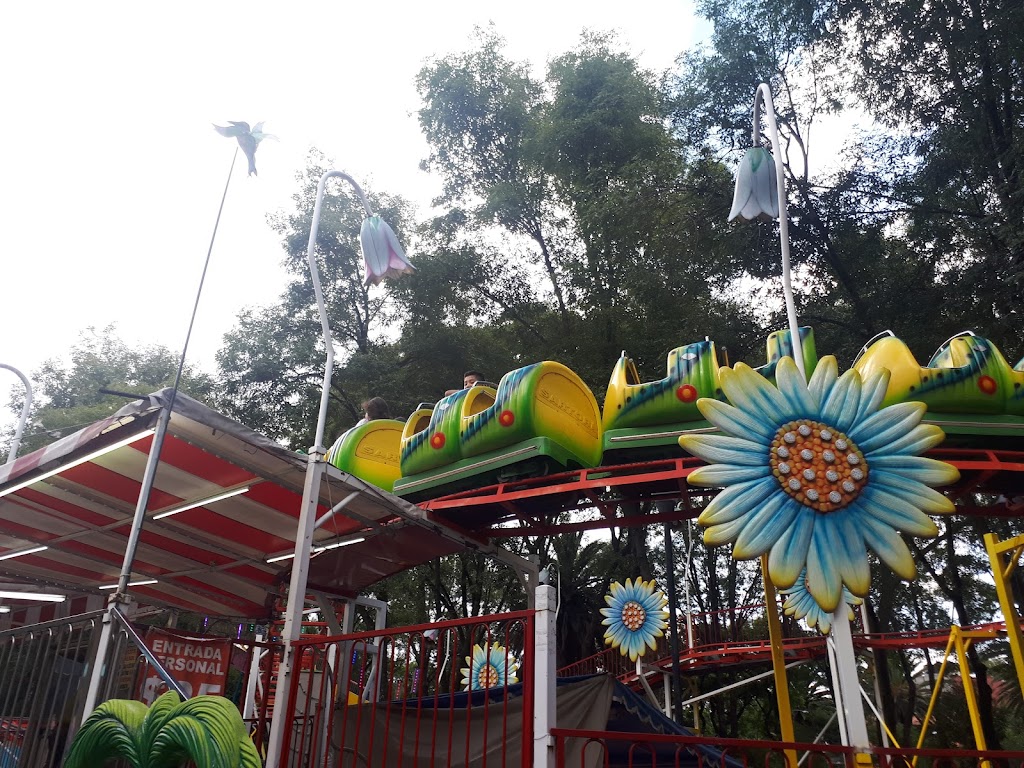 Parque de los Venados 10