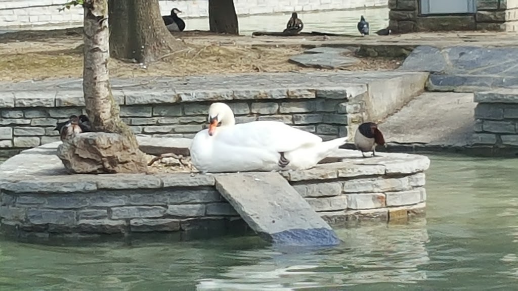 Parque de Doña Casilda de Iturrizar - Foto 1