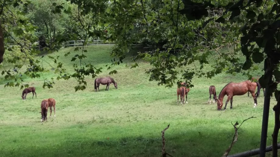 Kutxa Ekoguneko Haur Parkea - Foto 5