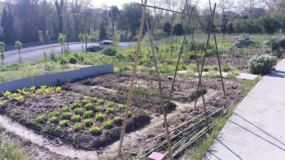 Kutxa Ekoguneko Haur Parkea - Foto 10