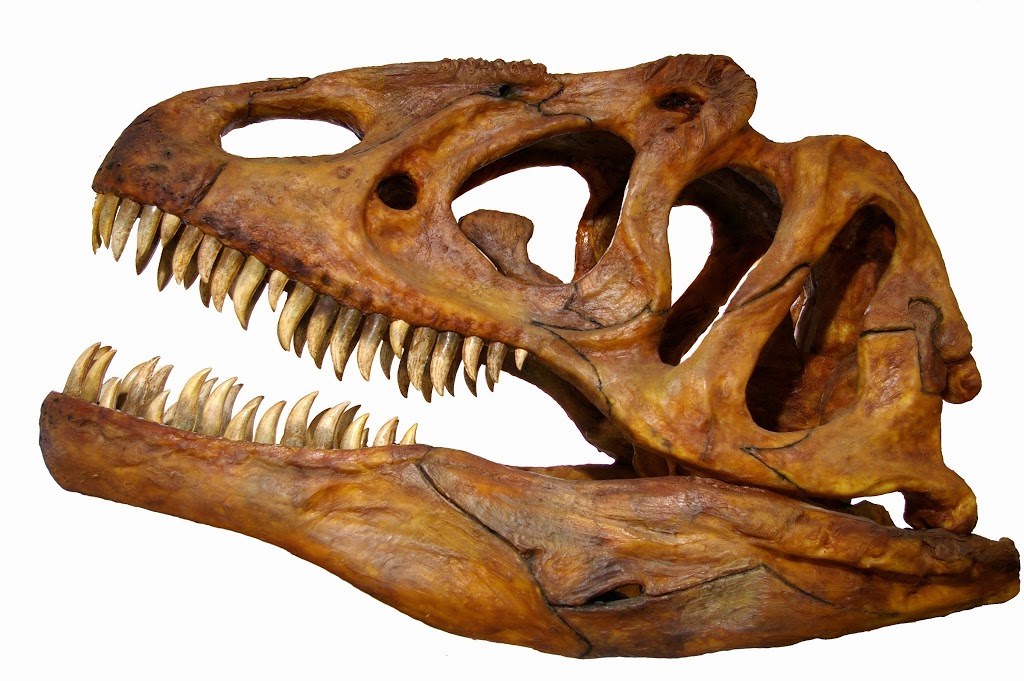 Museo de Dinosaurios - Foto 1