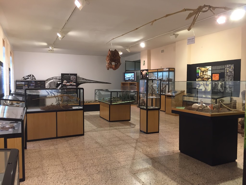 Museo de Dinosaurios - Foto 1