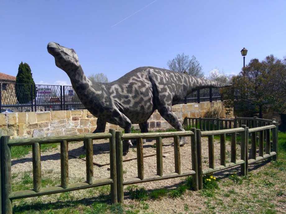 Museo de Dinosaurios - Foto 4