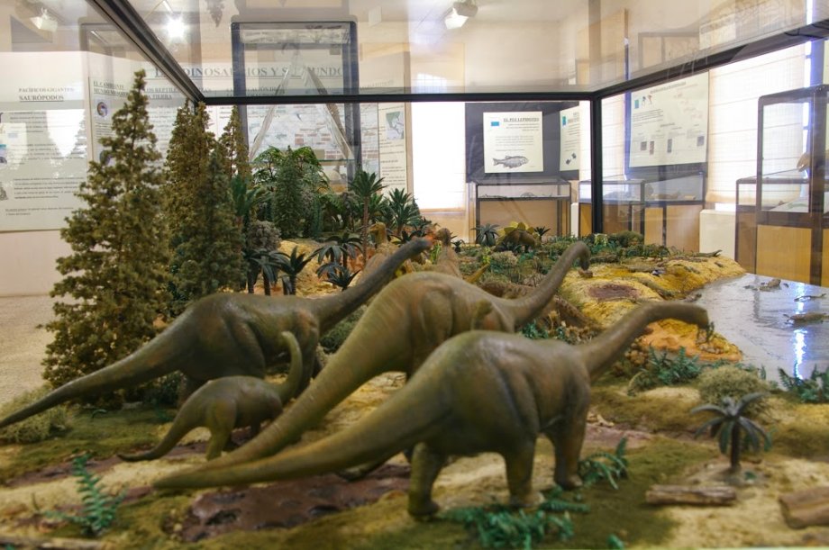 Museo de Dinosaurios - Foto 7