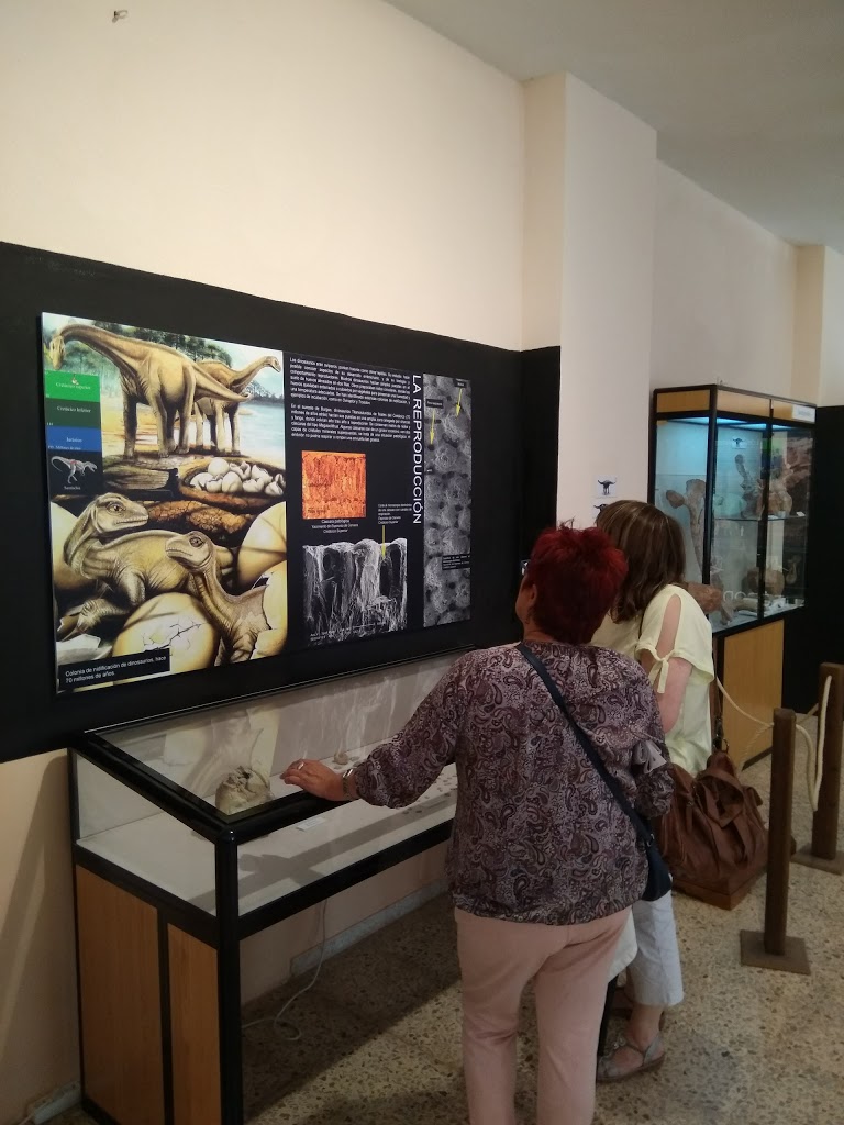 Museo de Dinosaurios 16