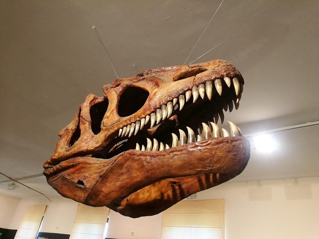 Museo de Dinosaurios - Foto 1