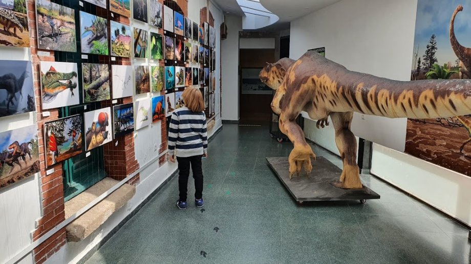 Museo de Dinosaurios - Foto 11