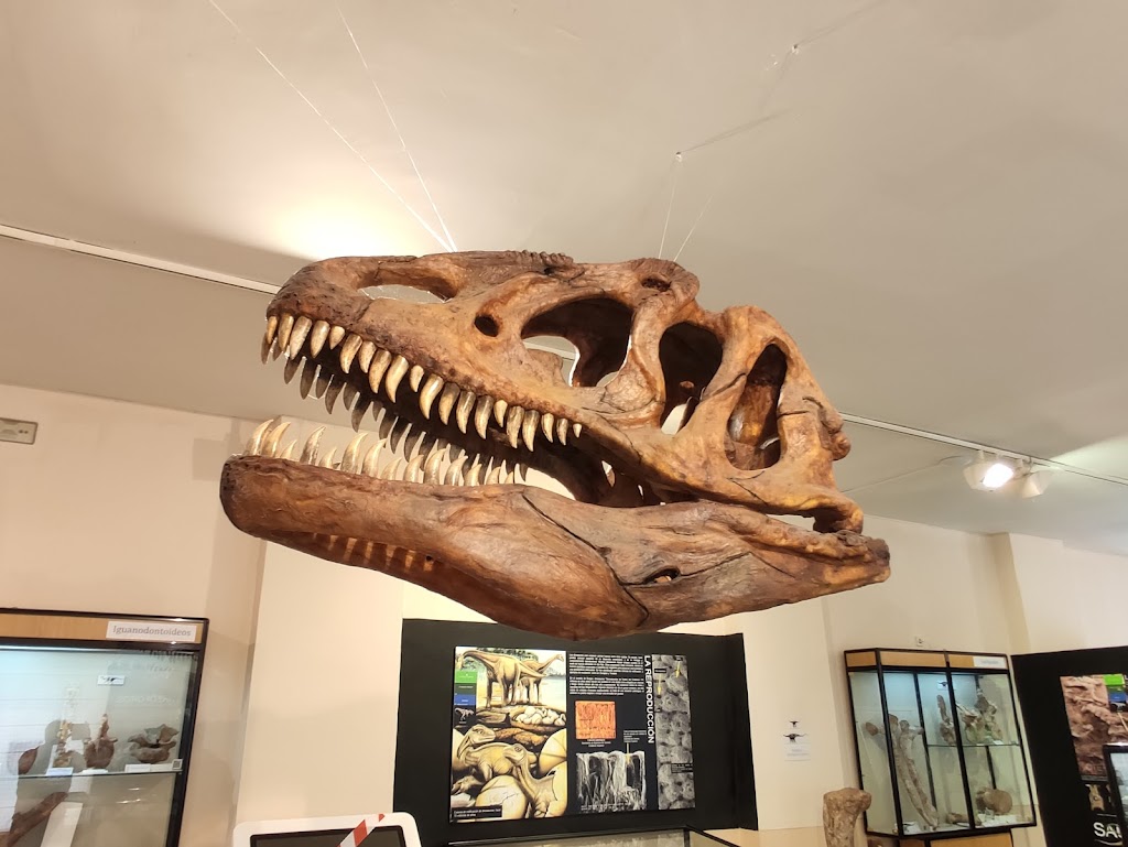 Museo de Dinosaurios 3