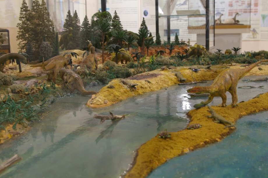 Museo de Dinosaurios - Foto 13