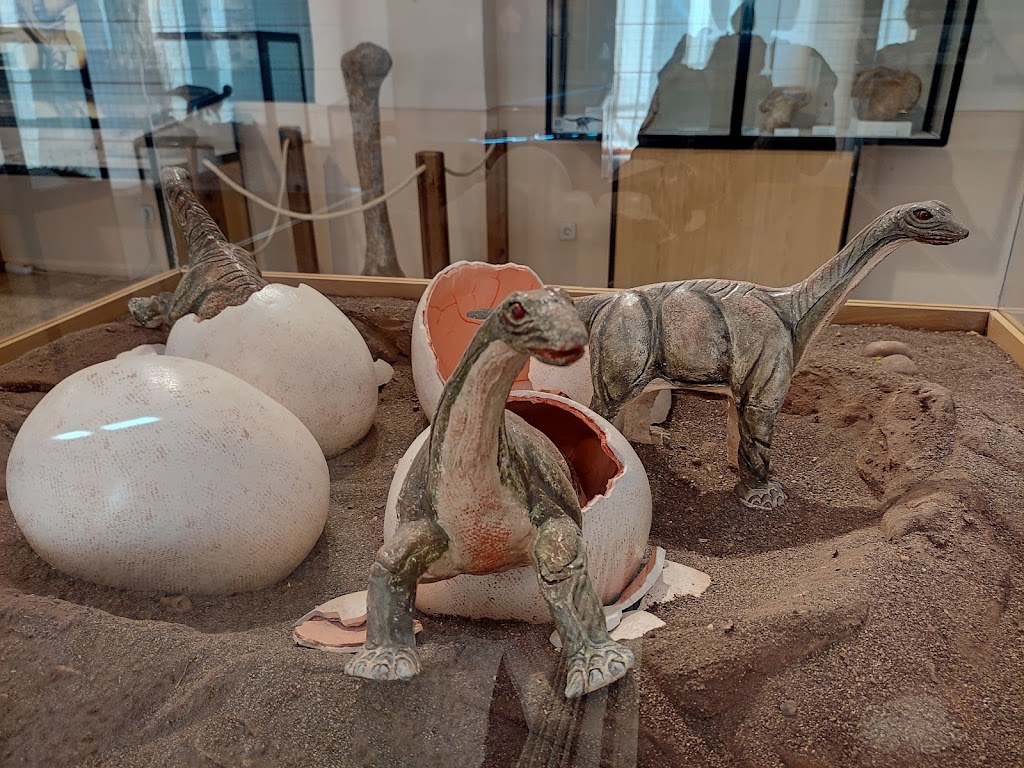 Museo de Dinosaurios - Foto 1