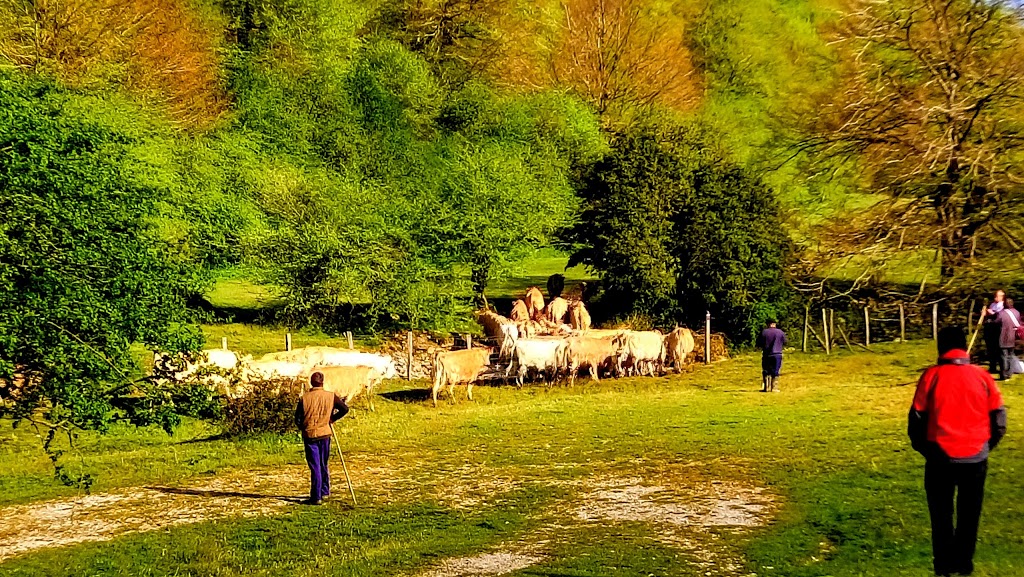 Albergue de -SOROGAIN- Aterpea - Foto 1