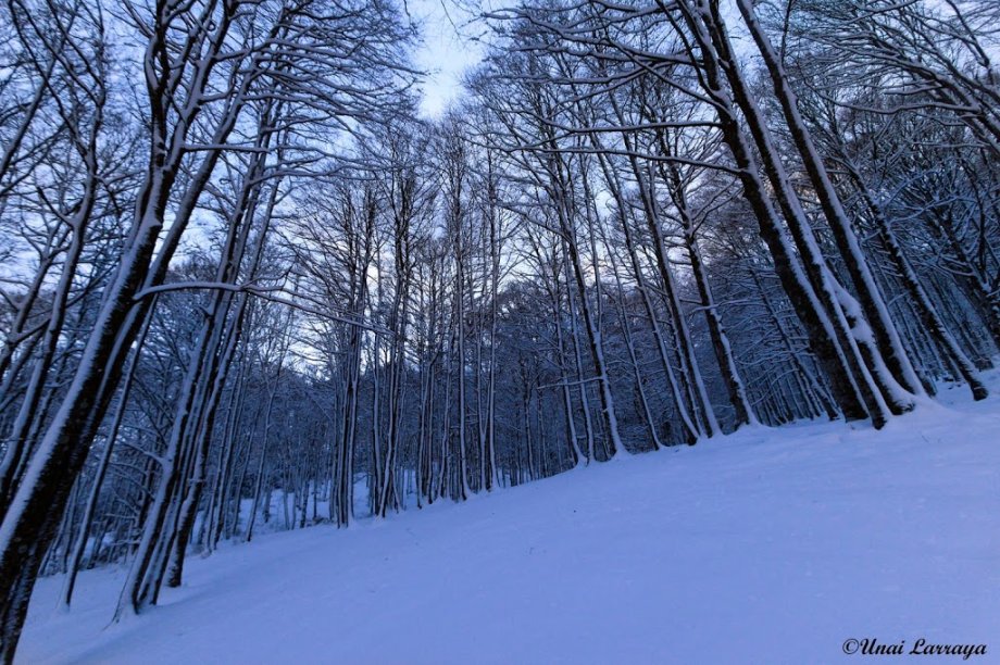 Albergue de -SOROGAIN- Aterpea - Foto 5