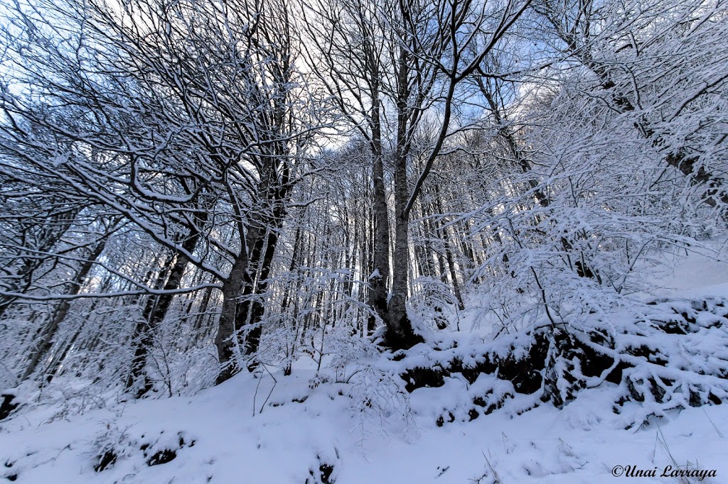 Albergue de -SOROGAIN- Aterpea - Foto 1