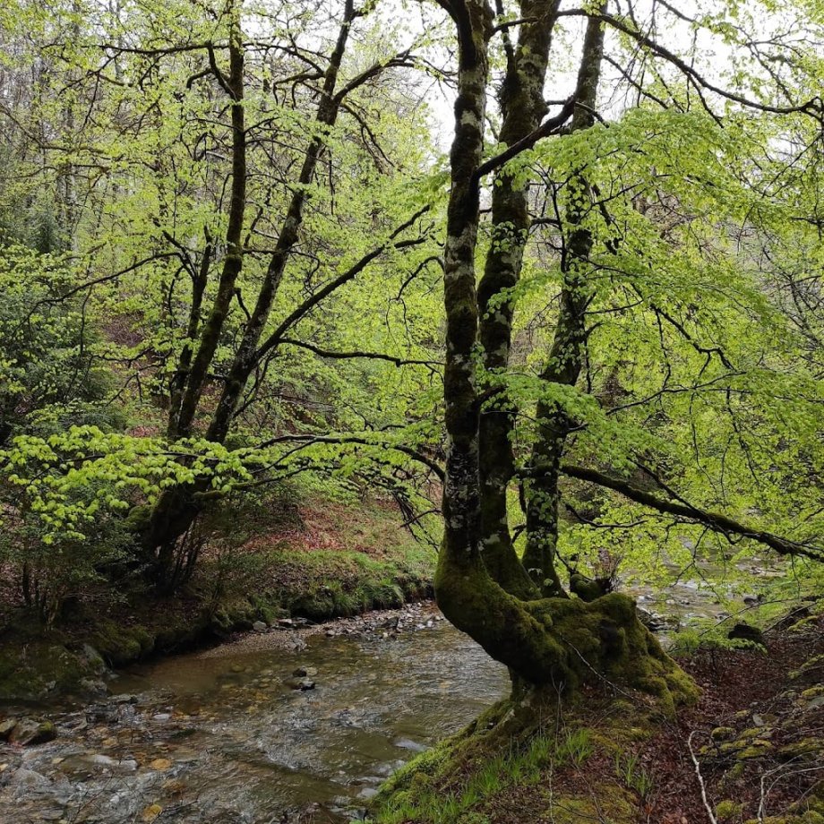 Albergue de -SOROGAIN- Aterpea - Foto 13