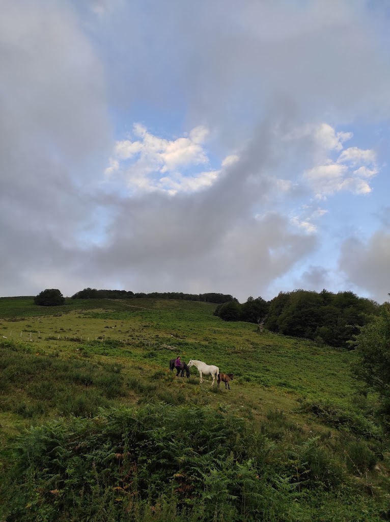 Albergue de -SOROGAIN- Aterpea - Foto 14