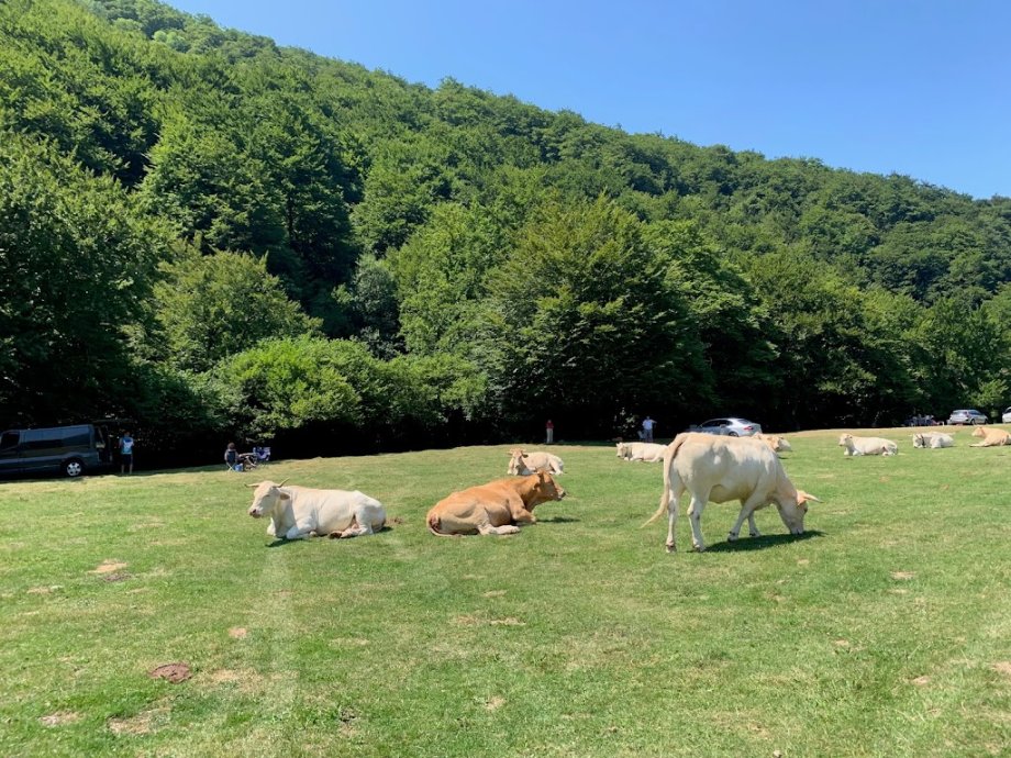 Albergue de -SOROGAIN- Aterpea - Foto 18