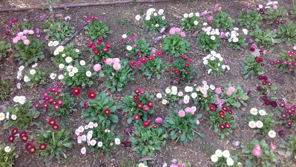 Parque Abelardo Sánchez - Foto 1