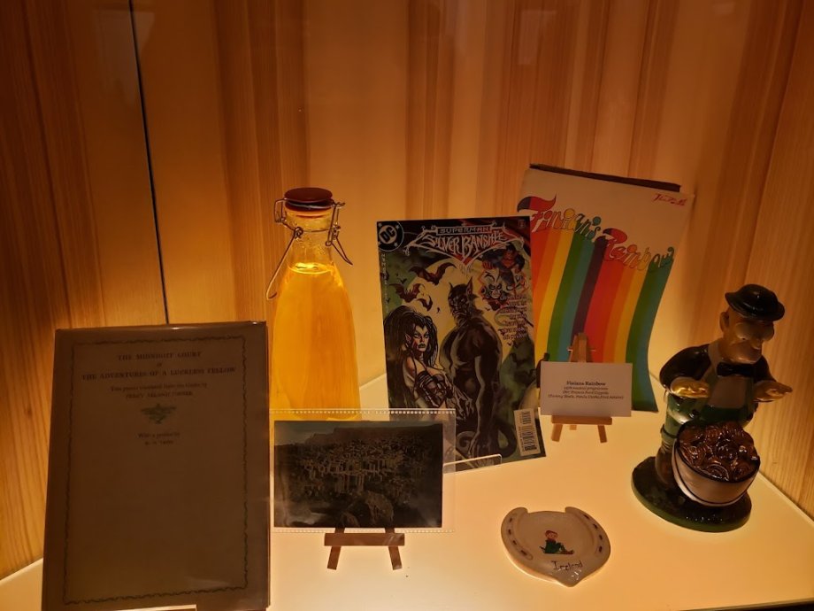 National Leprechaun Museum of Ireland - Foto 19