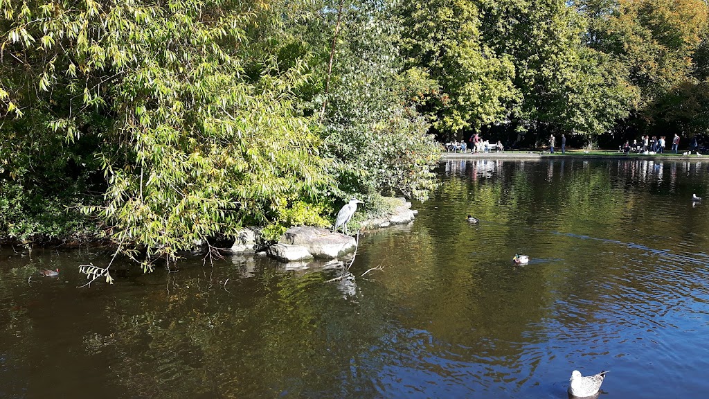 Saint Stephen's Green - Foto 1