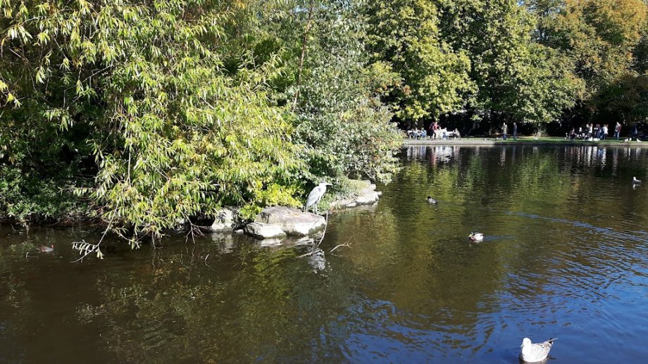 Saint Stephen's Green - Foto 17