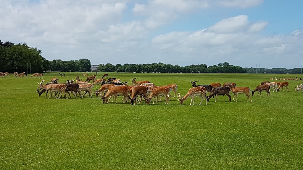 Parque Fénix - Foto 1