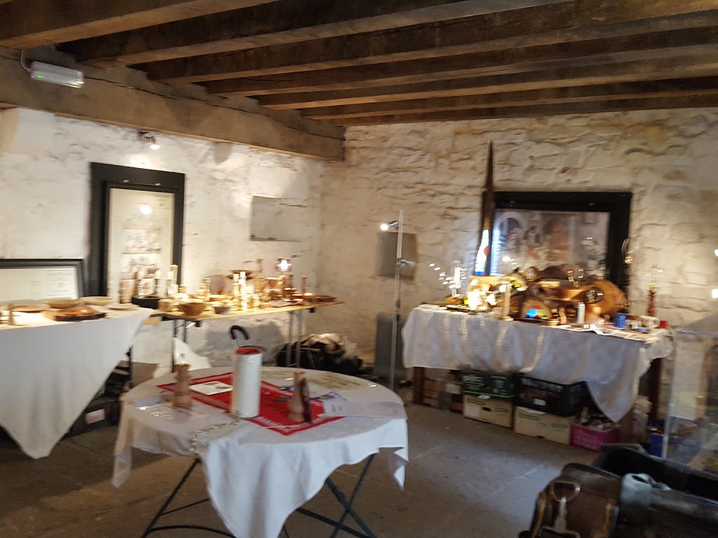 Parque Fénix - Foto 1