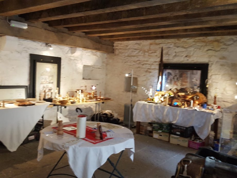 Parque Fénix - Foto 7