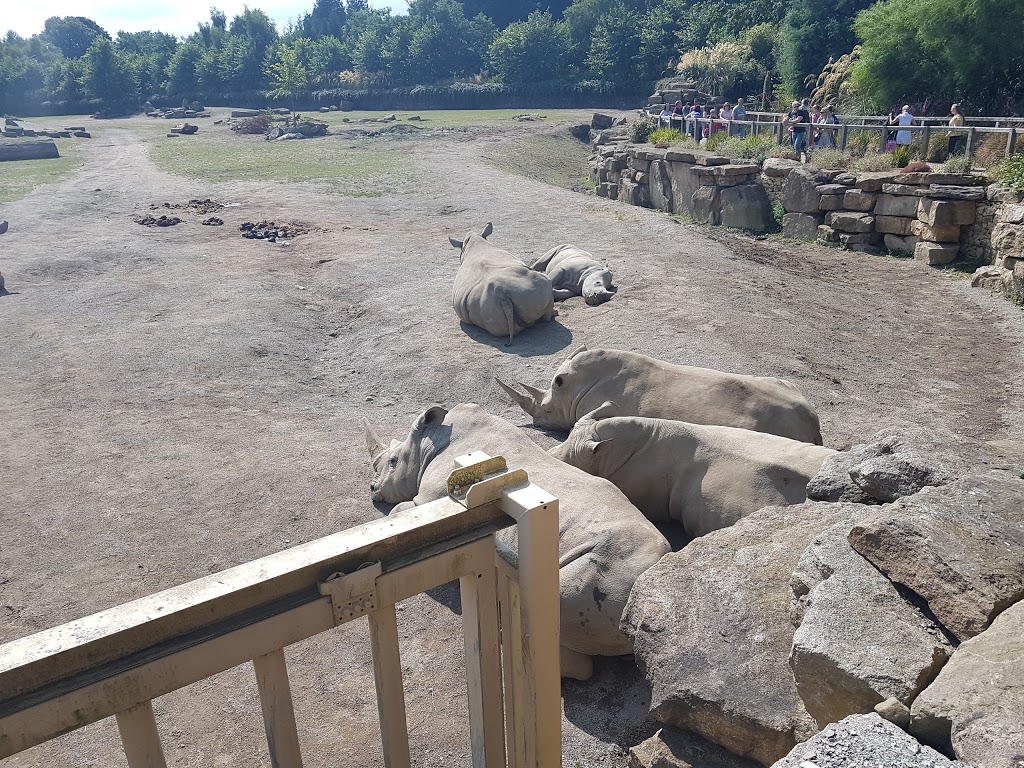 Parque Fénix - Foto 1