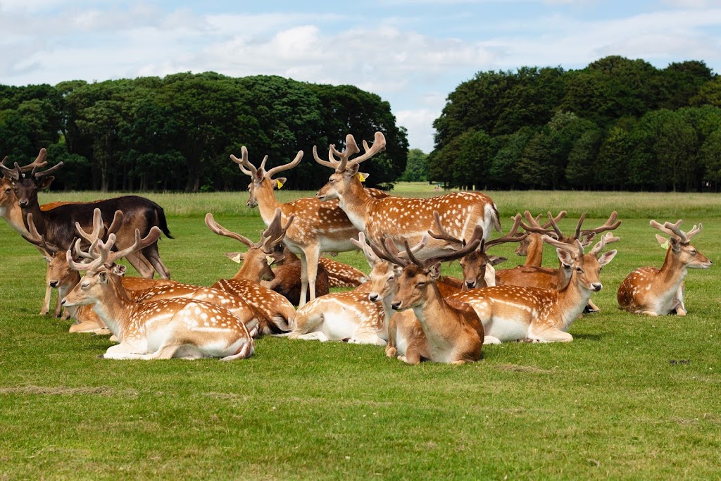Parque Fénix - Foto 1