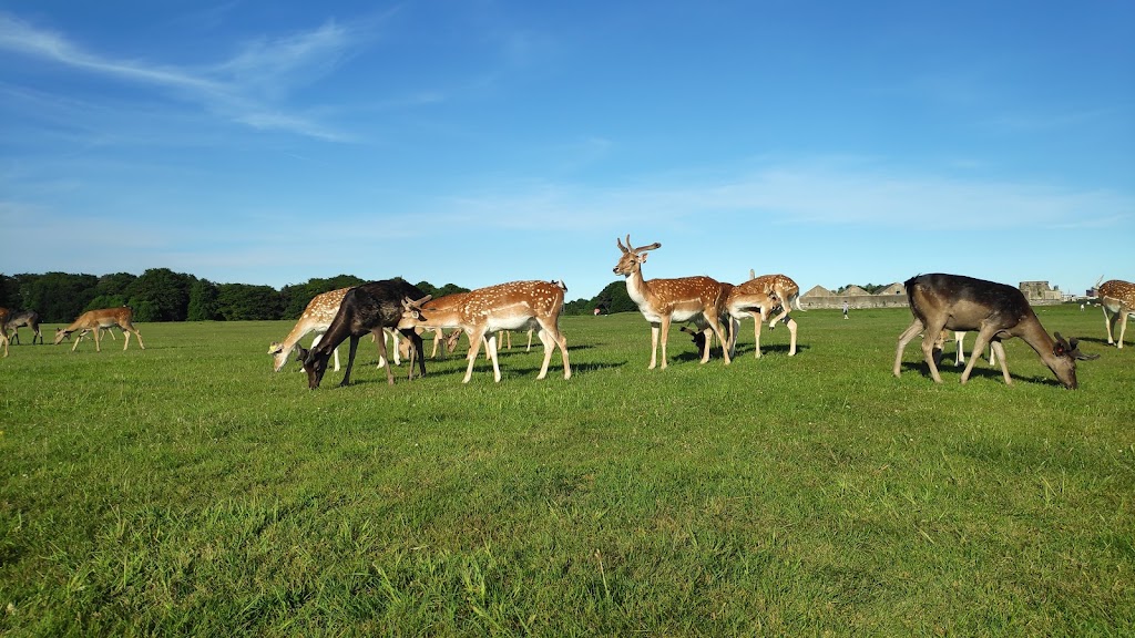 Parque Fénix - Foto 1