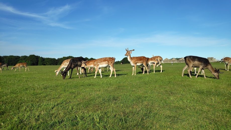 Parque Fénix - Foto 16