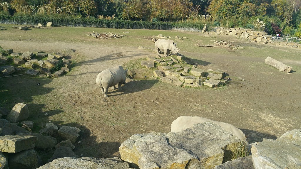 Dublin Zoo 15