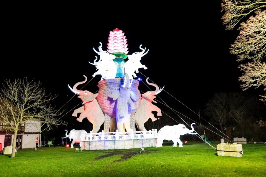 Dublin Zoo - Foto 19